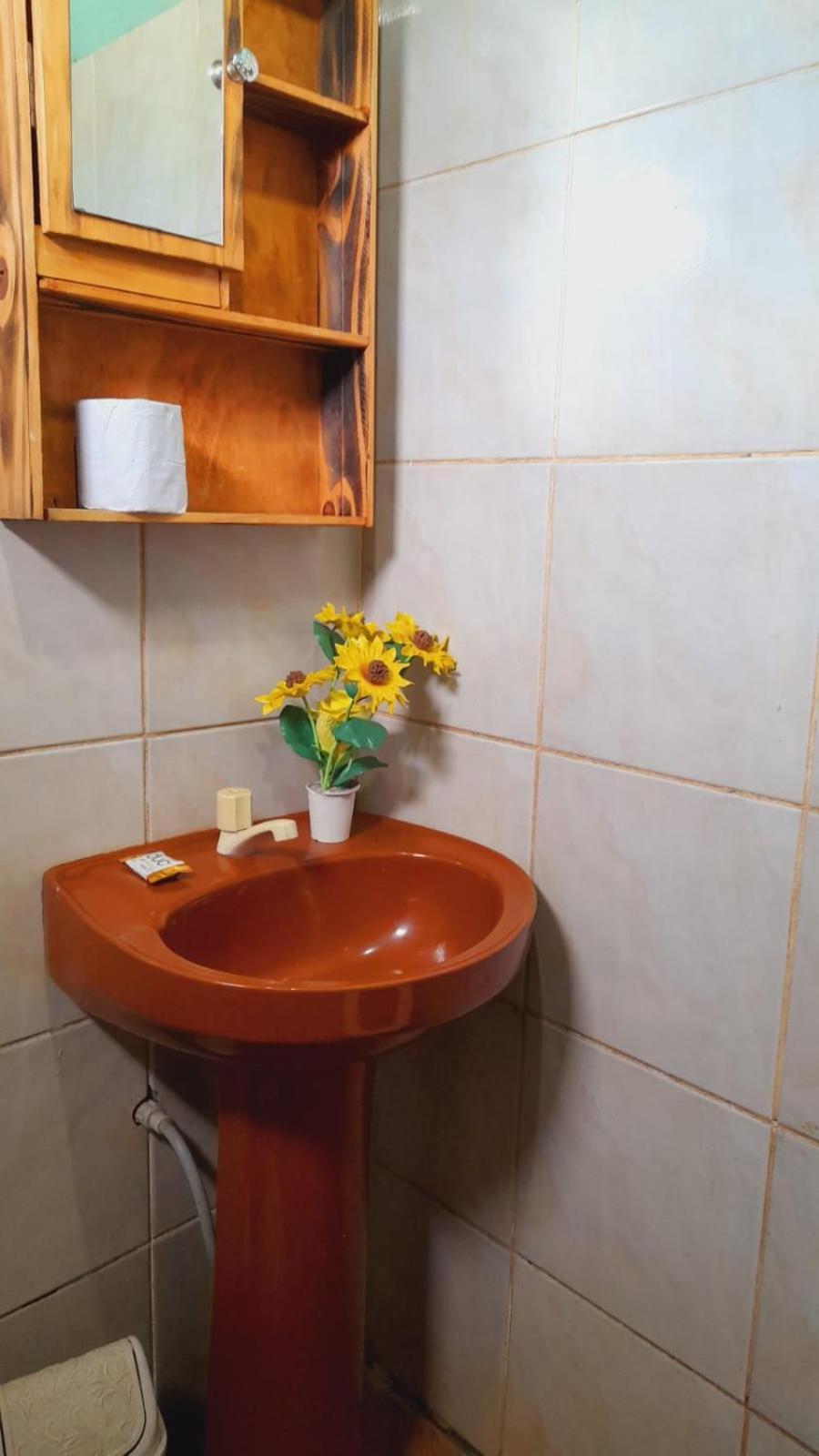Hostel Loli بويرتو إجوازو المظهر الخارجي الصورة